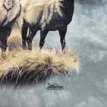 Load image into Gallery viewer, close up of the mountain logo with the copyright date of 2001.