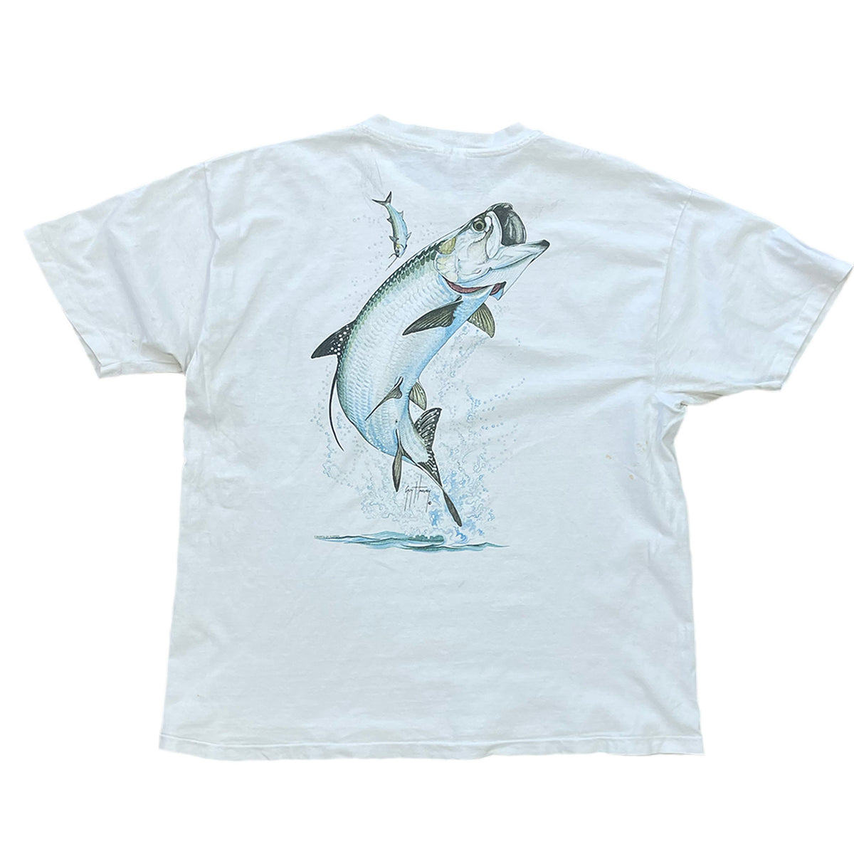 BACK SIDE. FISH JUMPING OUT OF THE WATER.